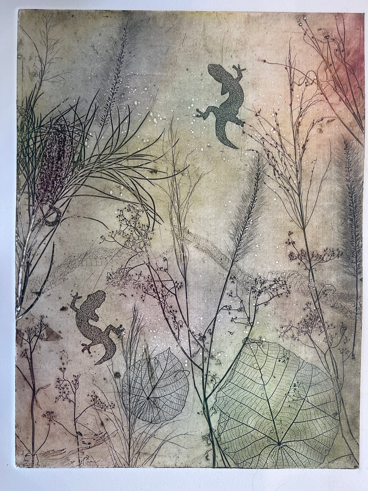 Gecko Run Etching