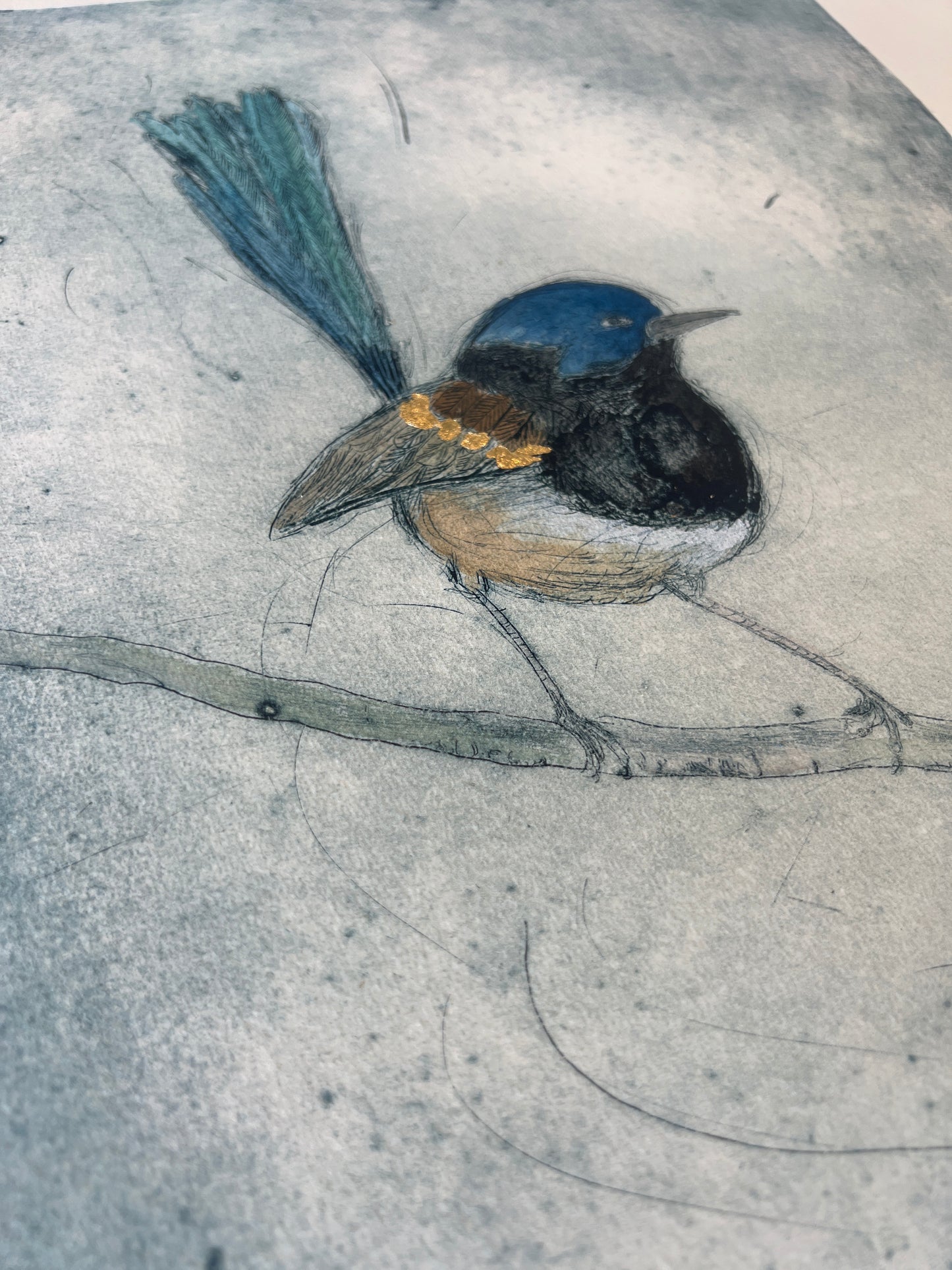 ‘Wren' Original Etching hand coloured