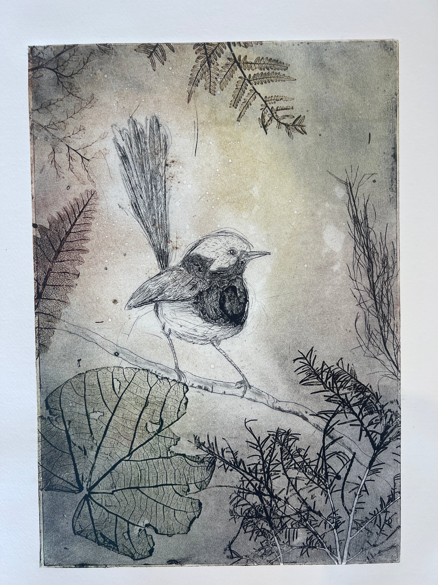 ‘Wren' Original Etching