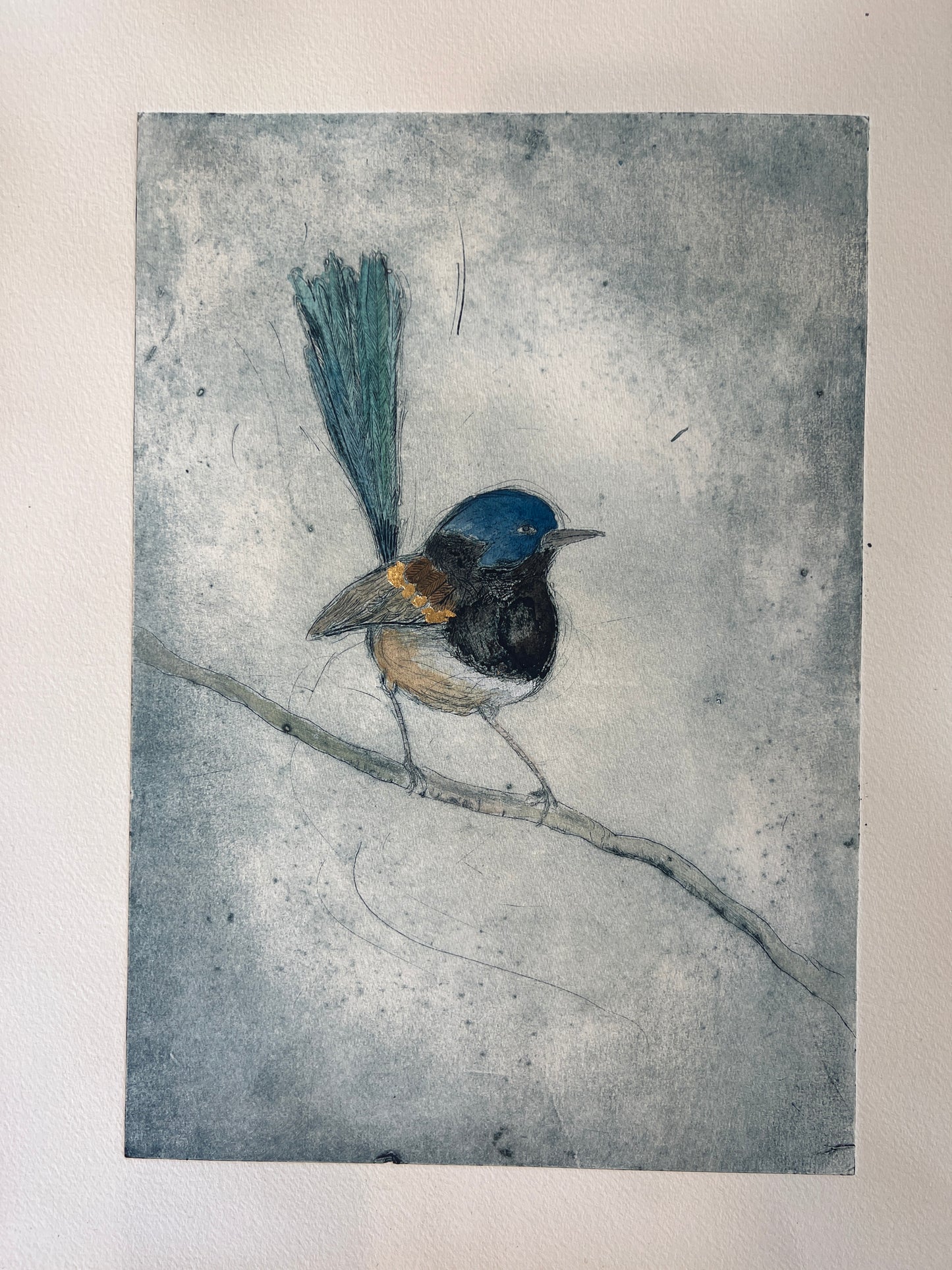 ‘Wren' Original Etching hand coloured