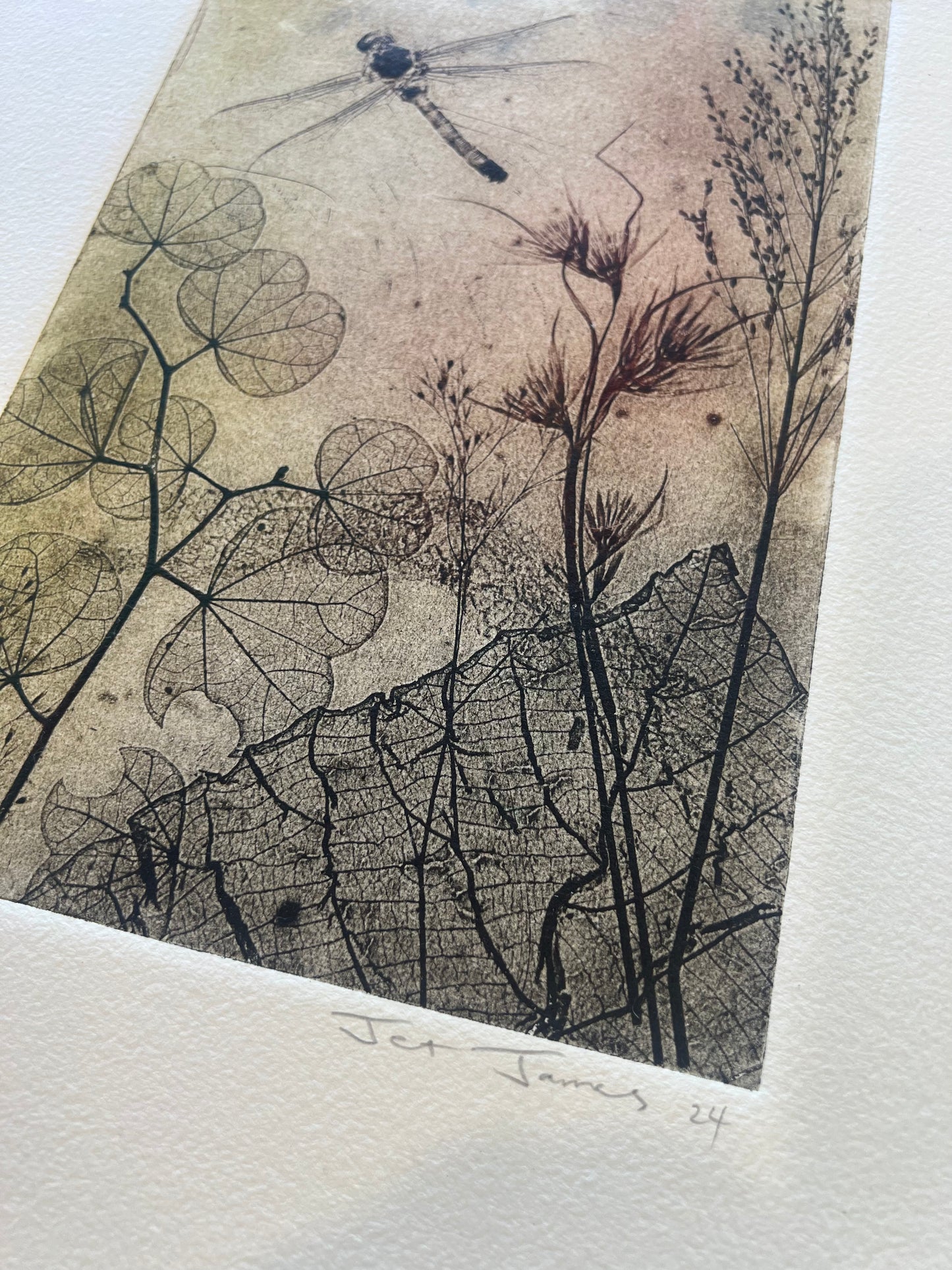 Nature Etching