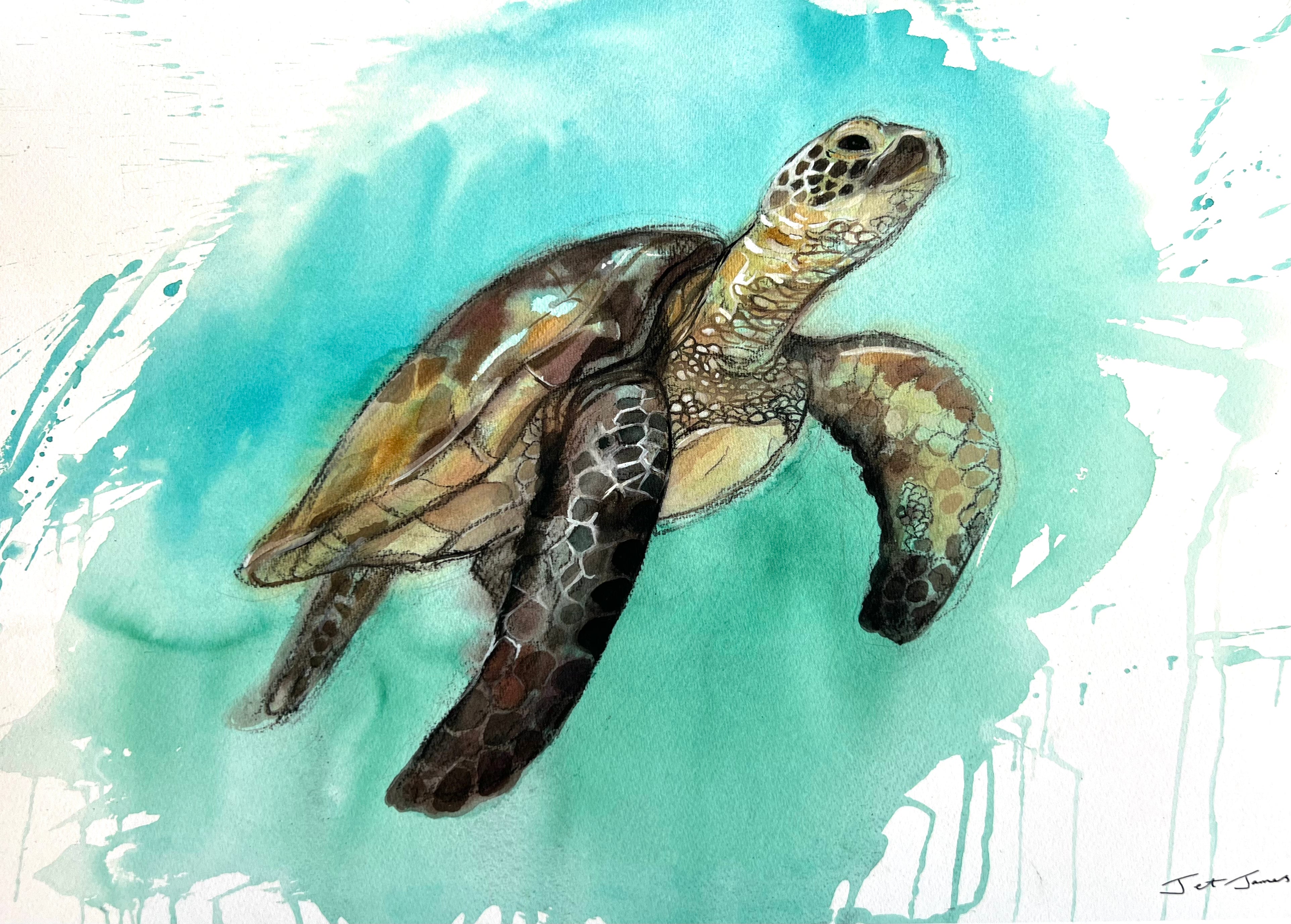 'Sea Turtle' Fine Art Print by Artist Jet James – Jet James Artist